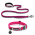 Ruffwear Roamer Leash & Crag Collar Combo