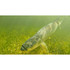Cortland Tarpon Fly Line - view 3