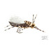MFC Donkey Kong Hopper Fly Tan