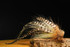 Buford Fly Tying Bundle