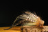 Buford Fly Tying Bundle