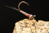 Rainbow Warrior Perdigon Fly Tying Bundle