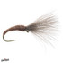 Craven's Mole Fly Brown