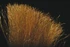 Enrico Puglisi EP 3-D Fibers - view 2