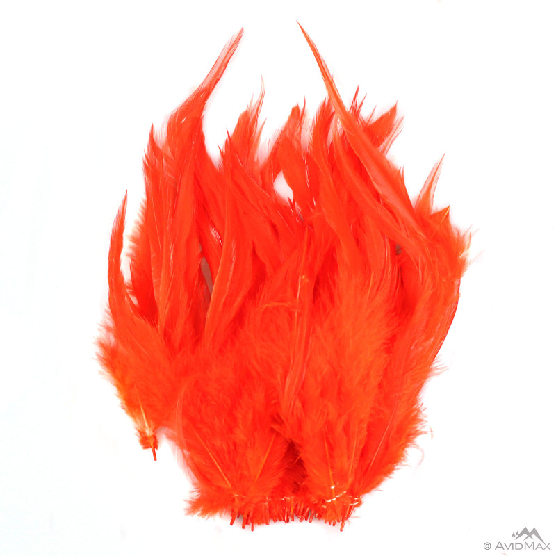 Hot Orange