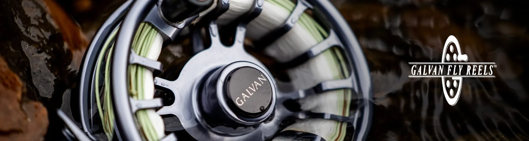 Galvan at AvidMax