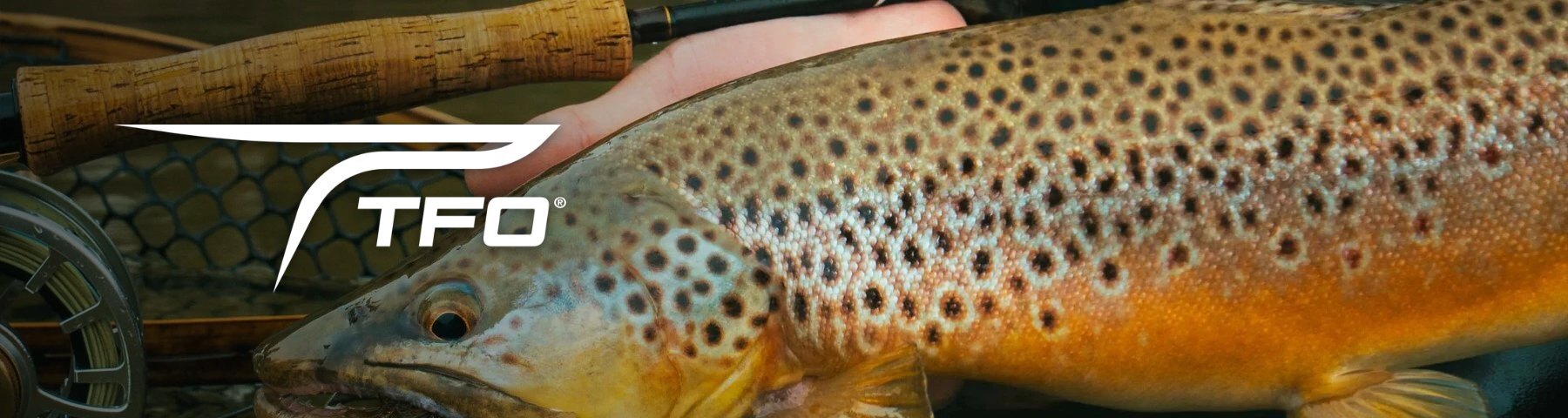 Temple Fork Outfitters at AvidMax