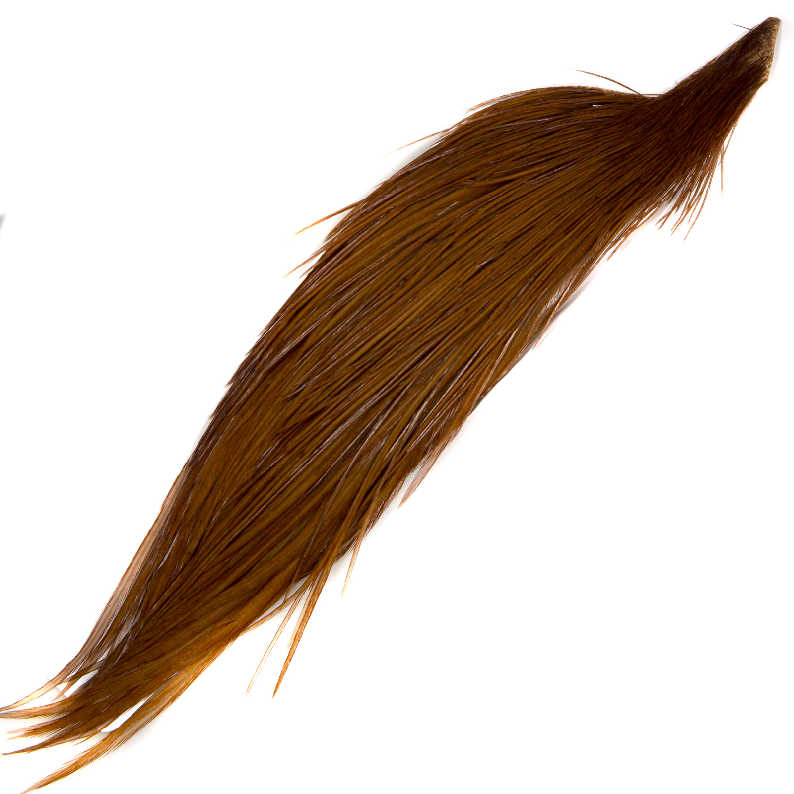 Whiting Farms High & Dry Hackle 1/2 Cape - Grizzly Dyed Coachman Brown - North 40 Outfitters