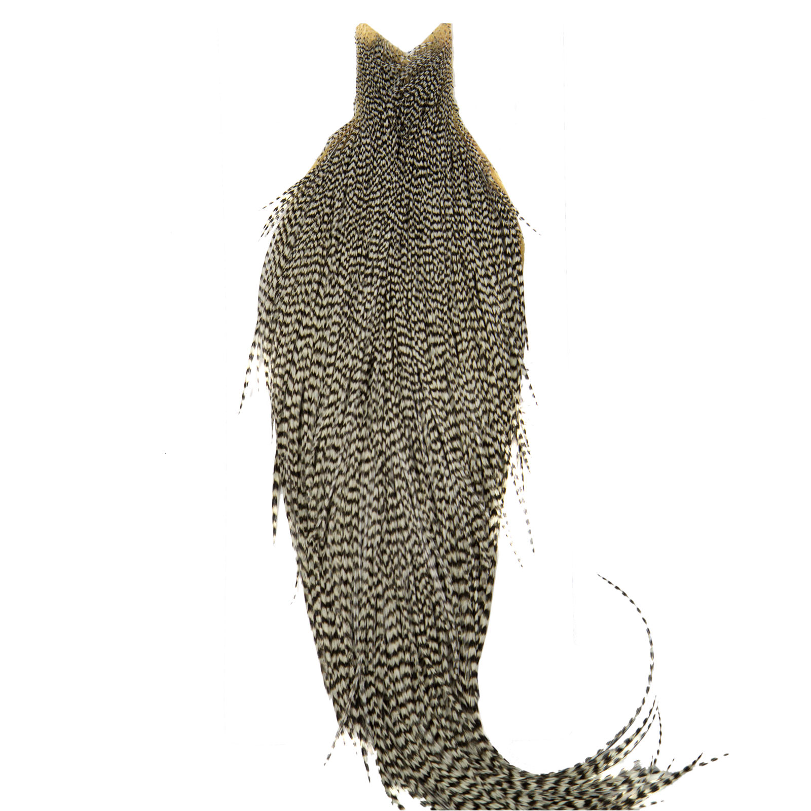 Whiting Farms High & Dry Hackle Cape - AvidMax