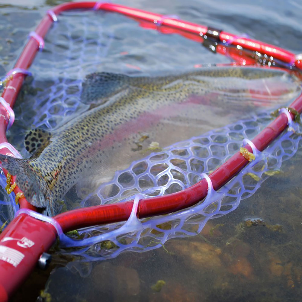 Rising Brookie Net Review - Man Makes Fire