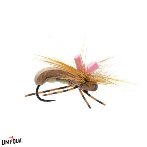 Seed Beetle Feller Fly Brown - AvidMax