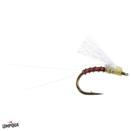 Magic Fly Passage's Fly PMD - AvidMax
