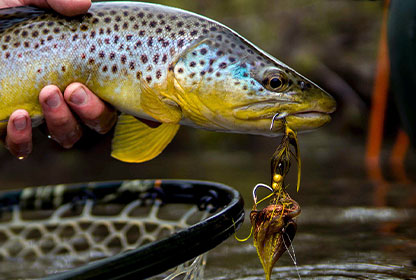 Fall Streamer Tactics | Stories