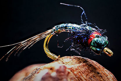 The Rainbow Warrior | Fly Tying Tutorial
