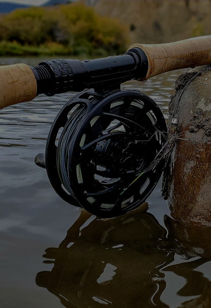 Terminal Tackle