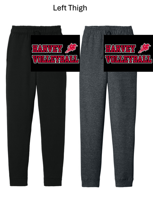 JOGGER WITH POCKET (ADULT) harvolthigh