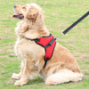 Adjustable Pet Harness