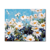 Small Daisies Paint By Numbers Painting Kit