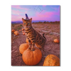 Halloween Cat On A Pumpkin Paint By Numbers Painting Kit