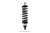 Proma Star Single Adjustable Shock - QA1 DS901