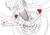 SPC Performance 11-17 Dodge Challenger RWD Cam Bolt Kit - 66038