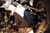 Ford Bronco Front Lower Control Arm Skid Plate - DV8 Offroad SPBR-02