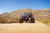 FS-25 Stubby Front Bumper with Plated Bull Bar - DV8 Offroad FBJL-06