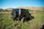 2007-2018 Jeep Wrangler JK FS-7 Series Rear Bumper - DV8 Offroad RBJK-12