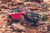 21-22 Ford Bronco w/ Sasquatch 2 inch Lift Kit - Superlift 9735