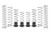 Eibach Can-Am Maverick X3 MAX Pro-UTV Stage 2 Kit - Set of 8 - E85-212-018-02-22