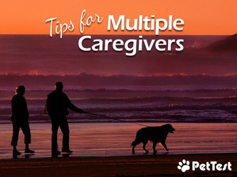 ​Tips for Multiple Caregivers