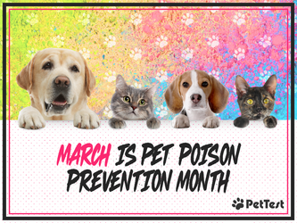 March is Pet Poison Prevention Month