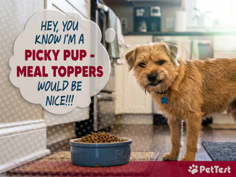 Picky Pups - Meal Toppers
