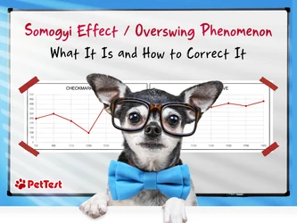 Somogyi Effect / Overswing Phenomenon:  What It Is and How to Correct It