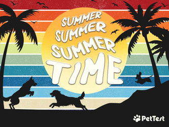 summer, Summer, SUMMERTIME