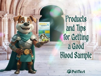 Products and Tips for Getting a Good Blood Sample