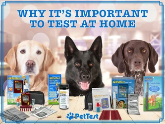 Why It's Important to Test at Home