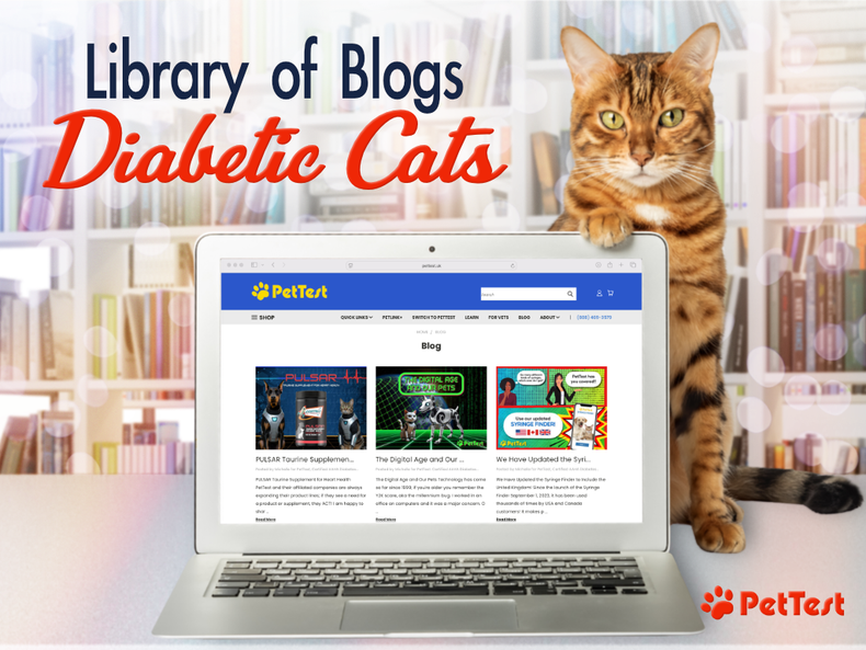 Library of Blogs: Diabetic Cats