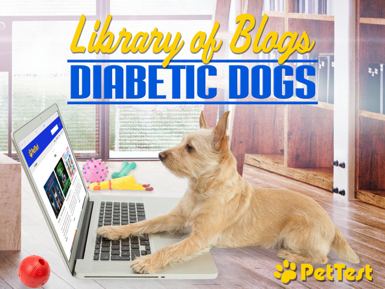 Library of Blogs: Diabetic Dogs
