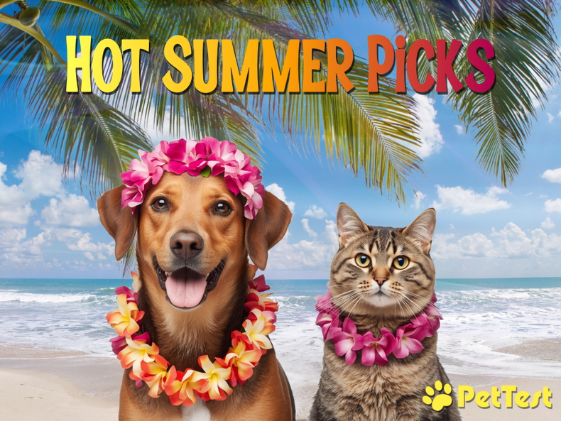 Hot Summer Picks