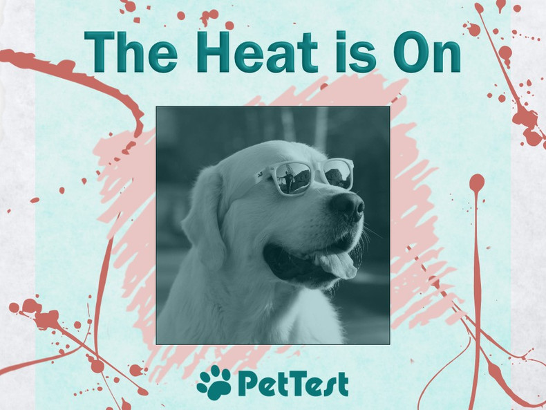 The Heat is On