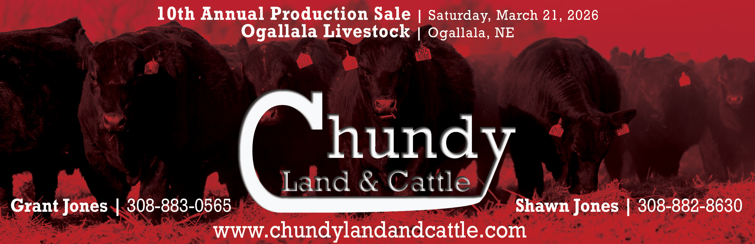 Chundy Land and Cattle