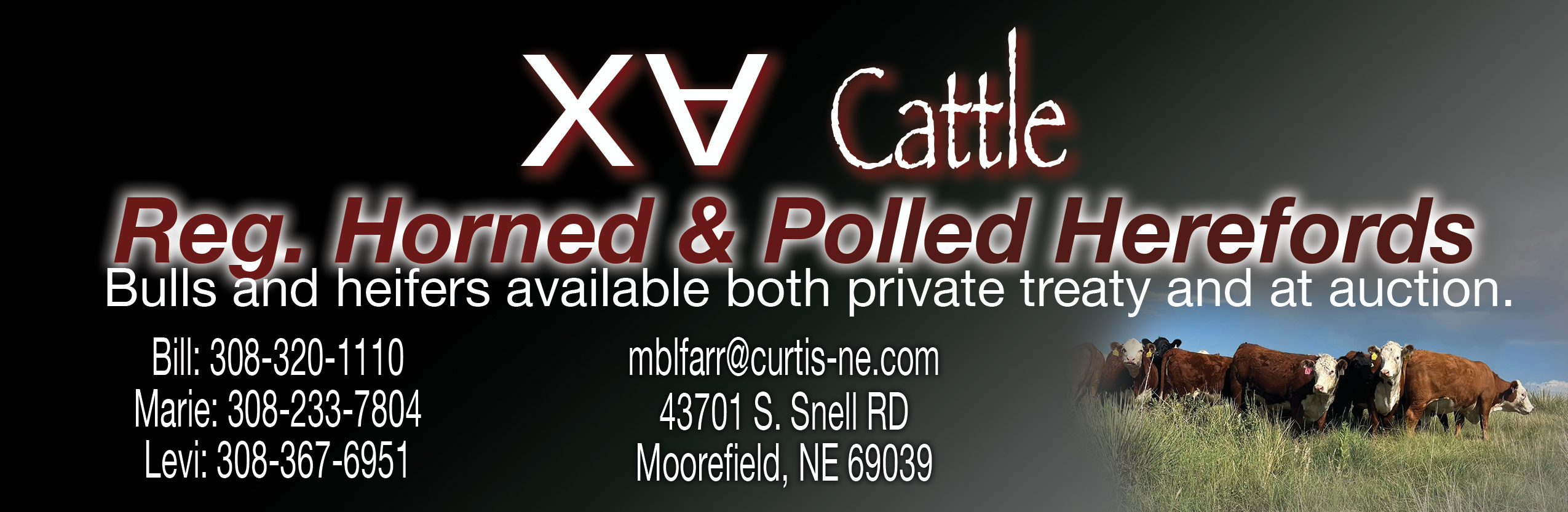 XA Cattle Company