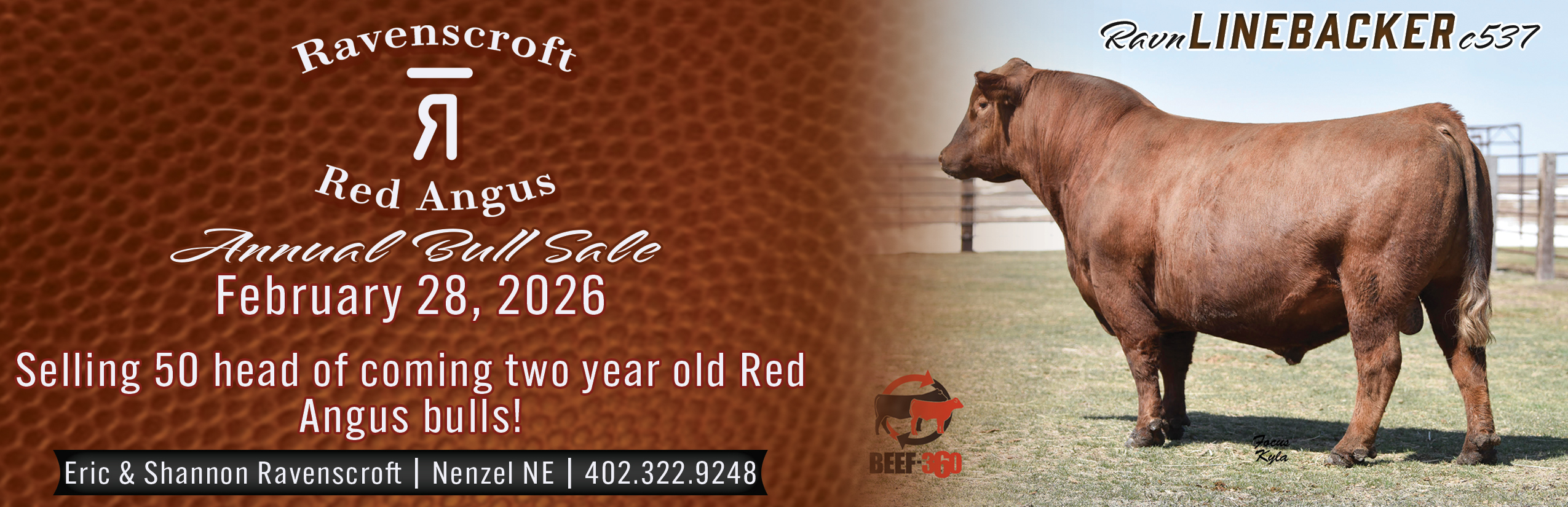 Ravenscroft Red Angus