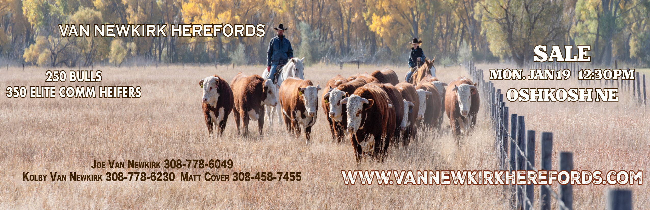 Van Newkirk Hereford