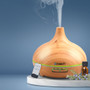 Devanti 300ml 4 in 1 Aroma Diffuser - Light Wood Retain Good Quality Guarantee