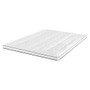 Giselle Bedding Mattress Topper Pillowtop