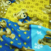 Gold 09 Teddy Bear Fleece Fabric