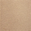 Oyster (555) Regency Velvet Flame Retardant Fabric
