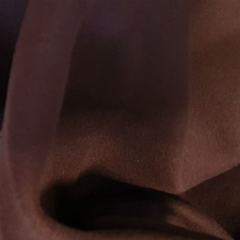 Chocolate Micro Fleece Fabric